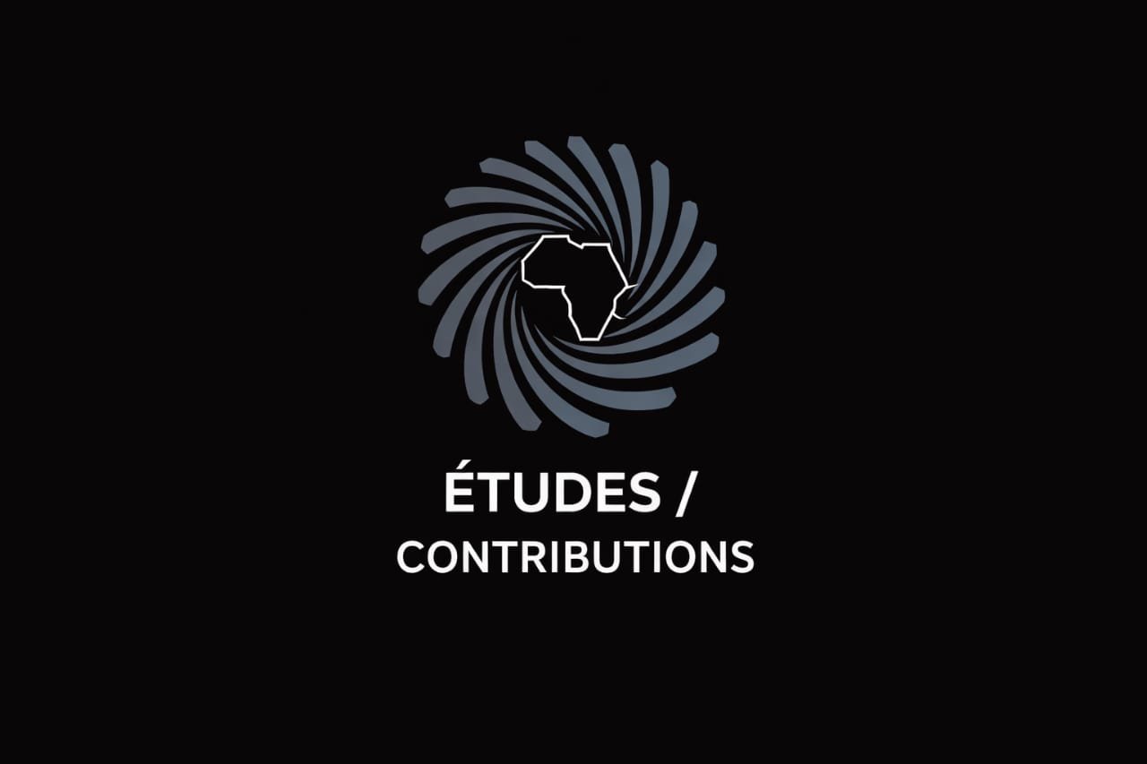 Gouvernance et maturité institutionnelle